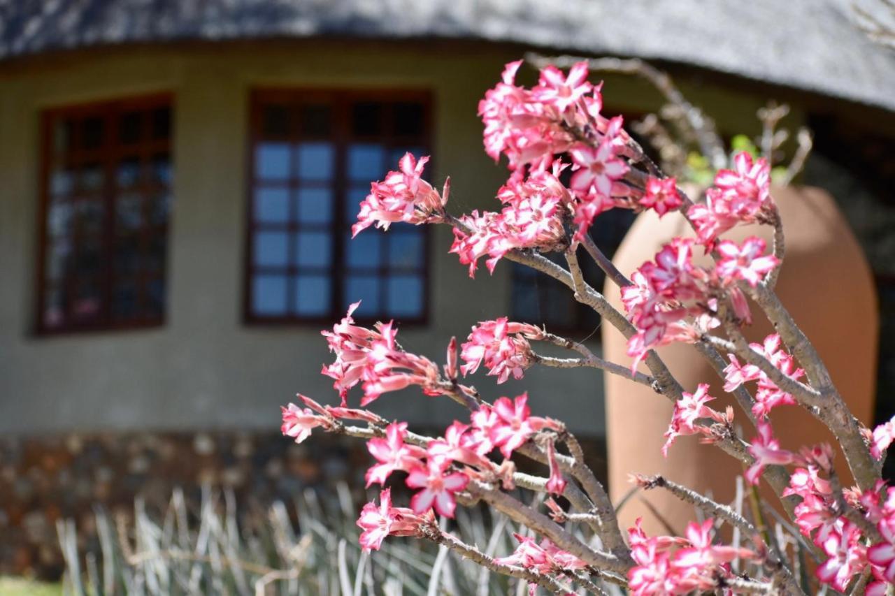 Milima Big 5 Safari Lodge Hoedspruit Eksteriør bilde