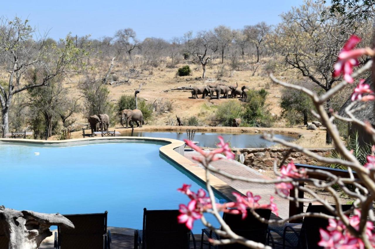 Milima Big 5 Safari Lodge Hoedspruit Eksteriør bilde