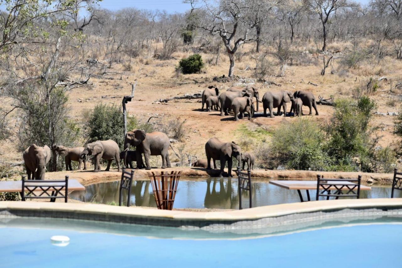 Milima Big 5 Safari Lodge Hoedspruit Eksteriør bilde