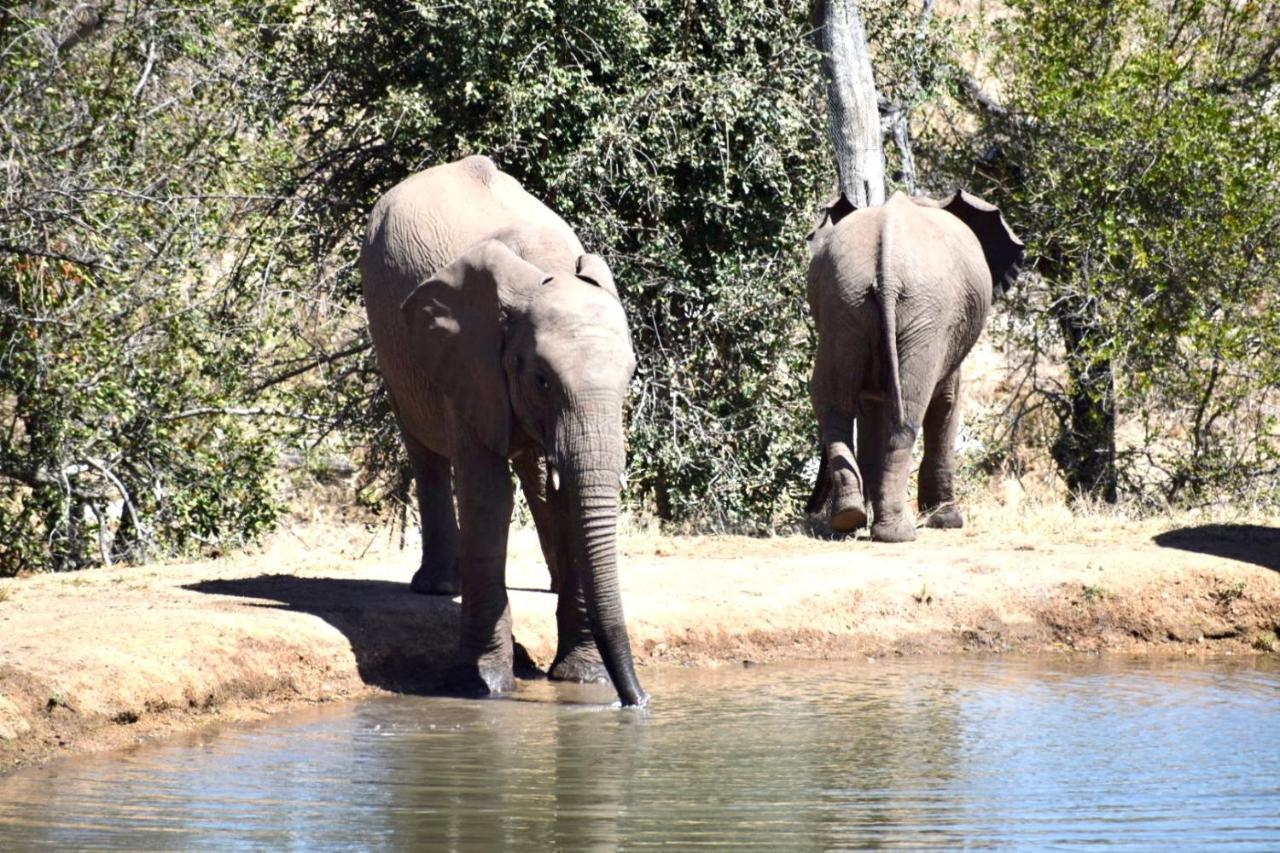 Milima Big 5 Safari Lodge Hoedspruit Eksteriør bilde