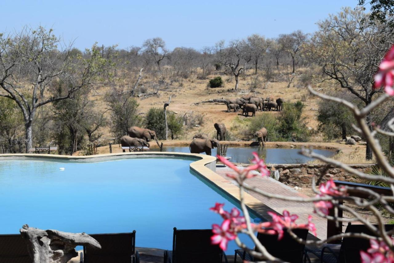 Milima Big 5 Safari Lodge Hoedspruit Eksteriør bilde