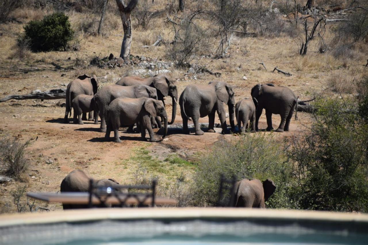 Milima Big 5 Safari Lodge Hoedspruit Eksteriør bilde