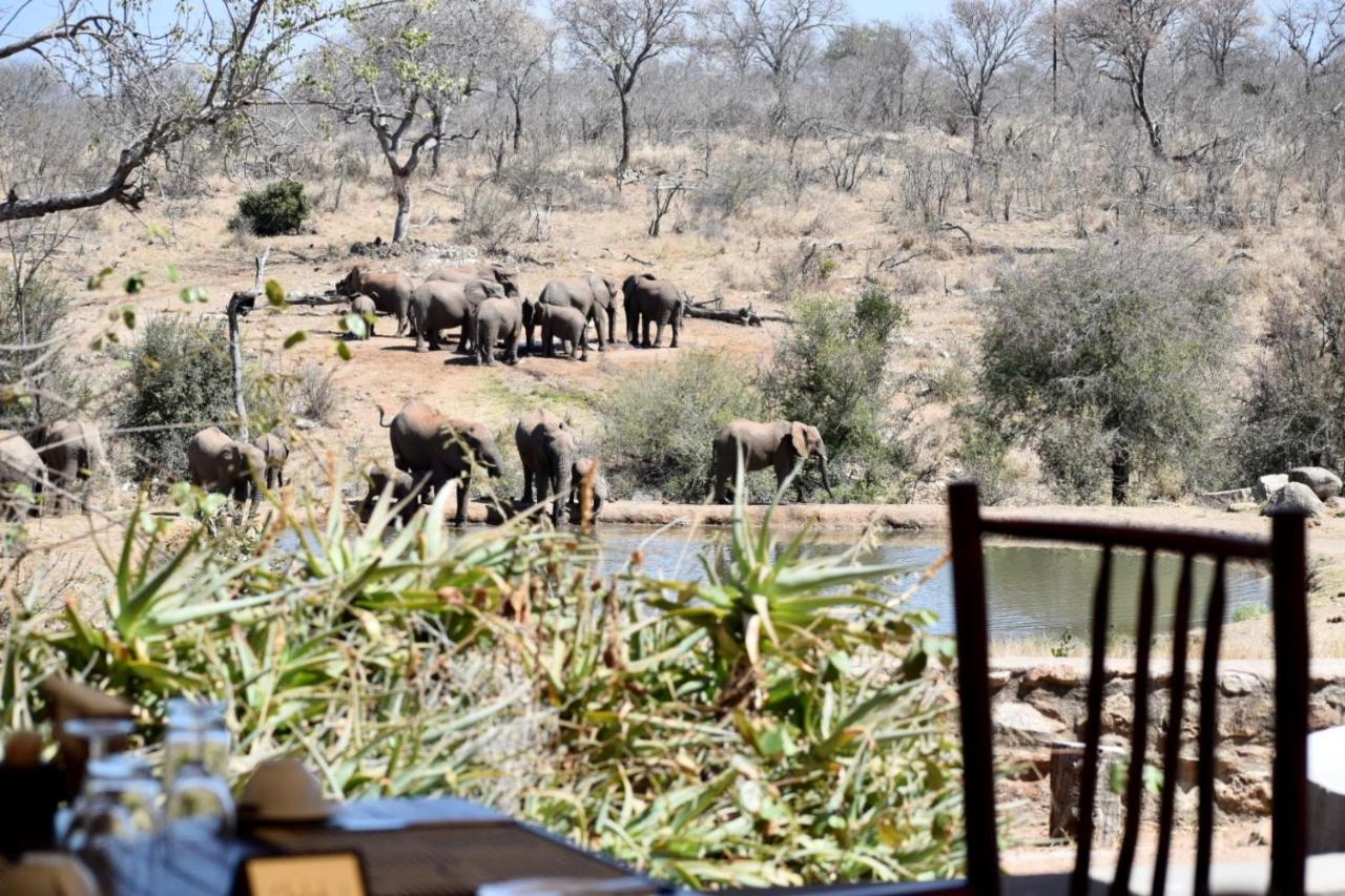 Milima Big 5 Safari Lodge Hoedspruit Eksteriør bilde