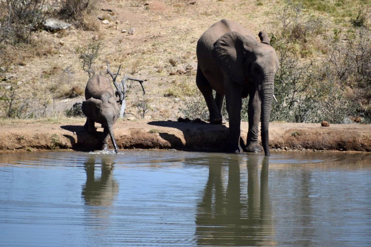 Milima Big 5 Safari Lodge Hoedspruit Eksteriør bilde