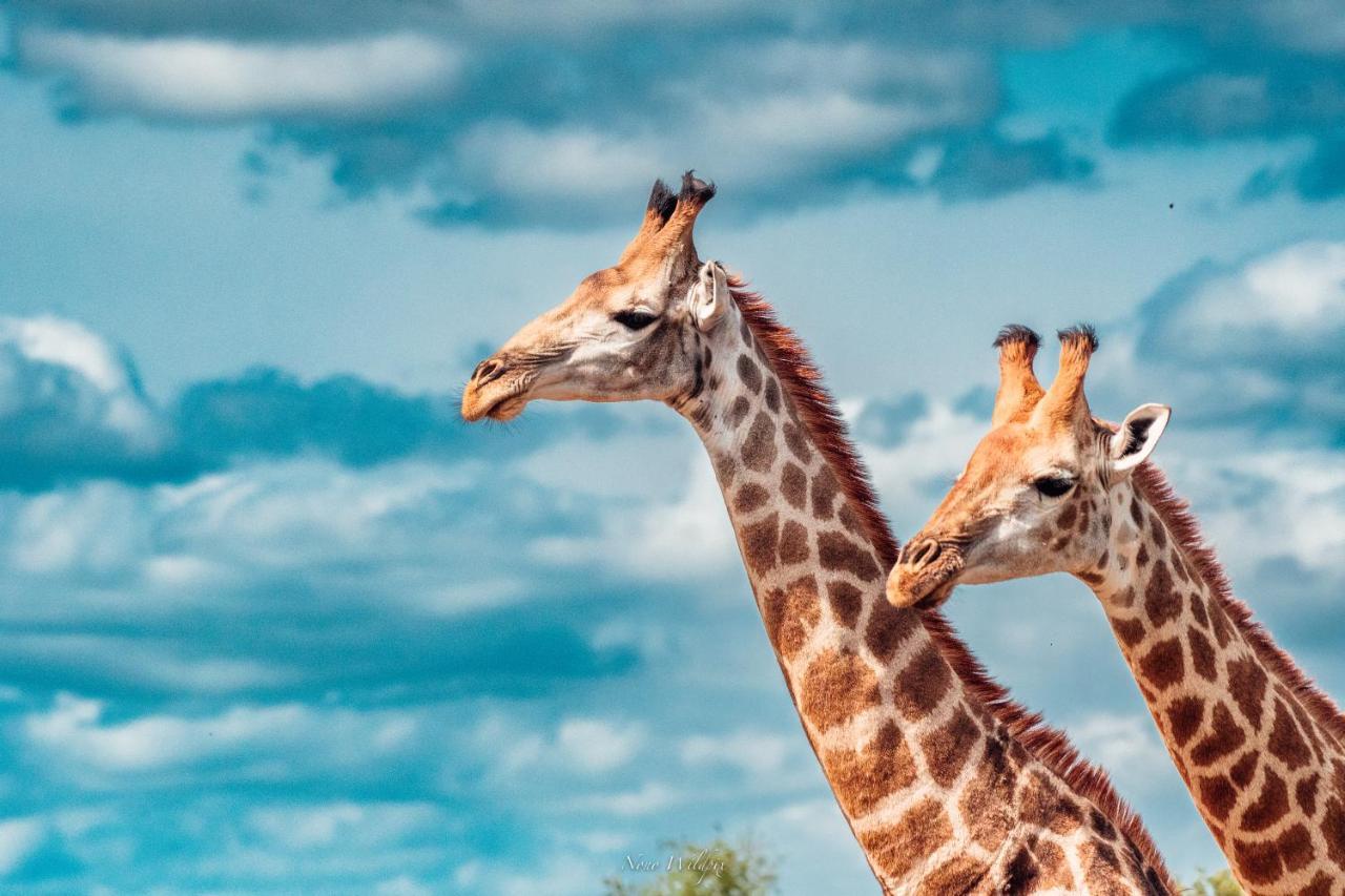 Milima Big 5 Safari Lodge Hoedspruit Eksteriør bilde
