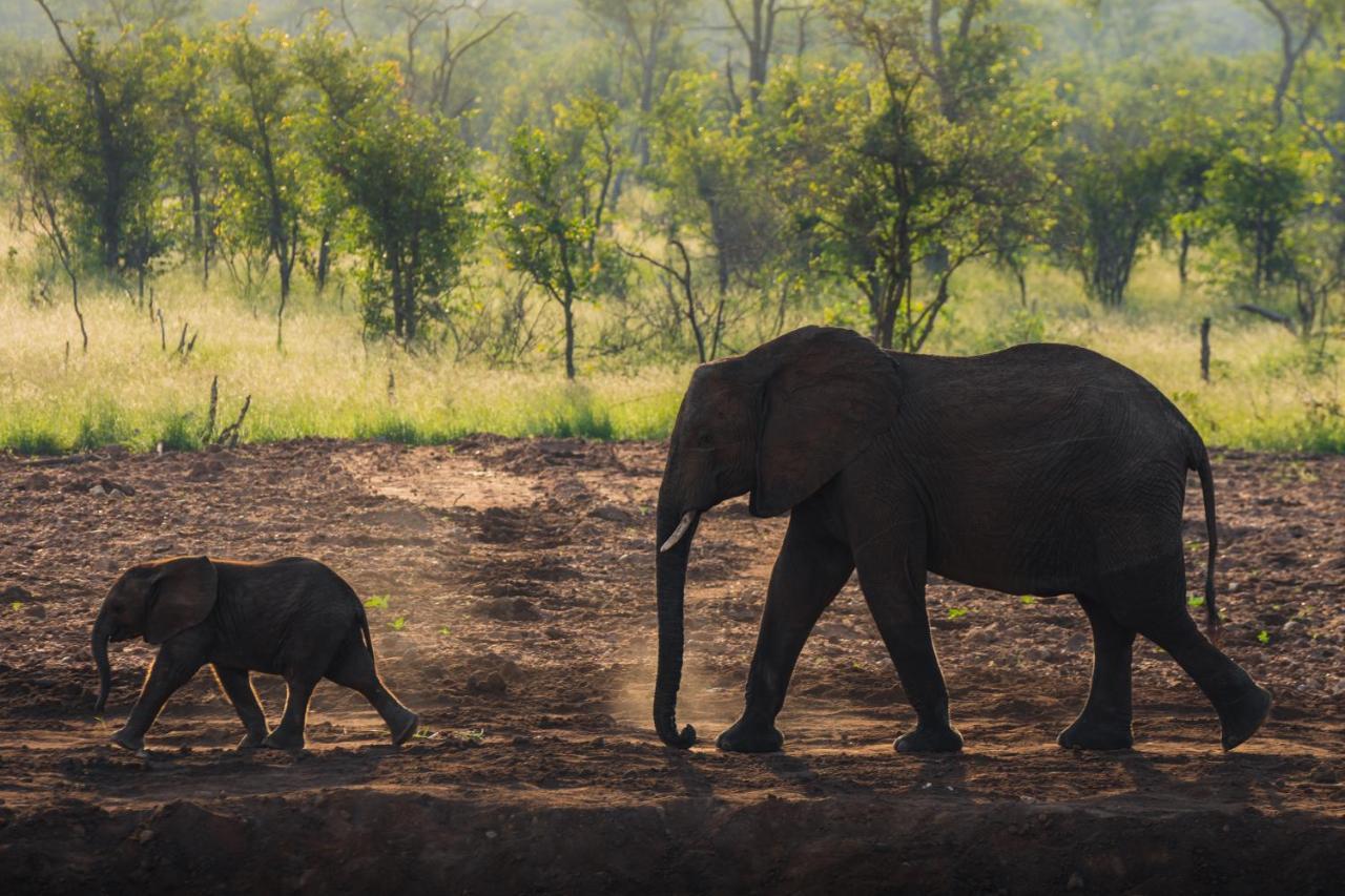 Milima Big 5 Safari Lodge Hoedspruit Eksteriør bilde