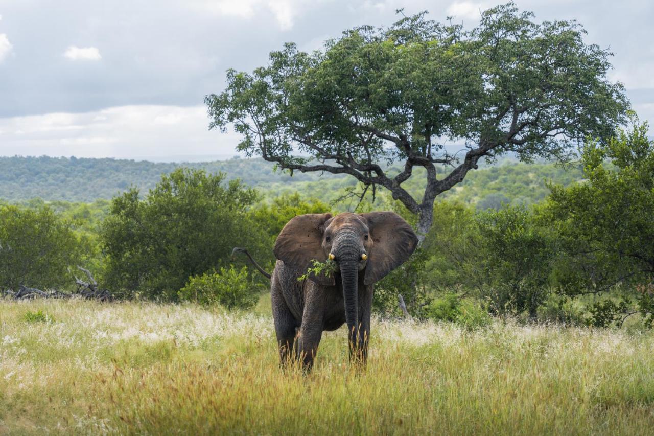 Milima Big 5 Safari Lodge Hoedspruit Eksteriør bilde