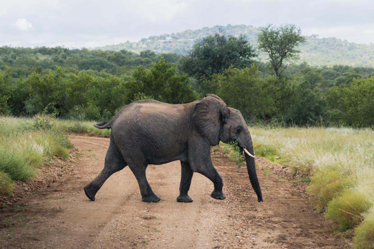Milima Big 5 Safari Lodge Hoedspruit Eksteriør bilde