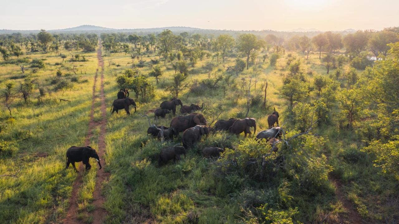 Milima Big 5 Safari Lodge Hoedspruit Eksteriør bilde